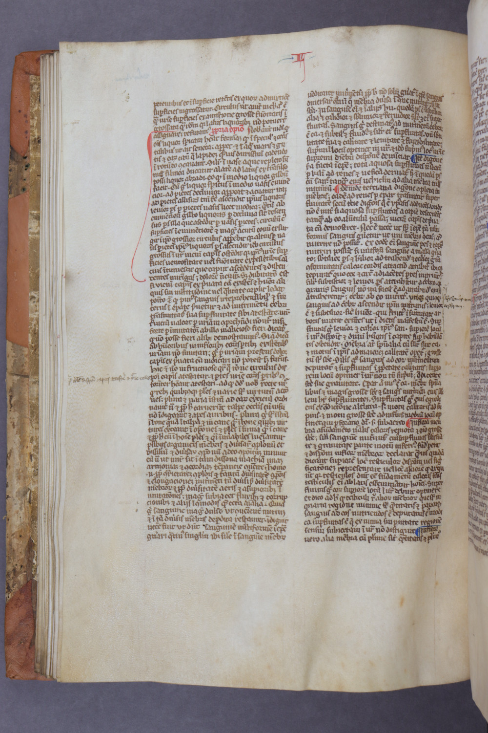 Folio 40 verso